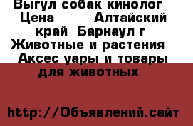 Выгул собак кинолог › Цена ­ 50 - Алтайский край, Барнаул г. Животные и растения » Аксесcуары и товары для животных   